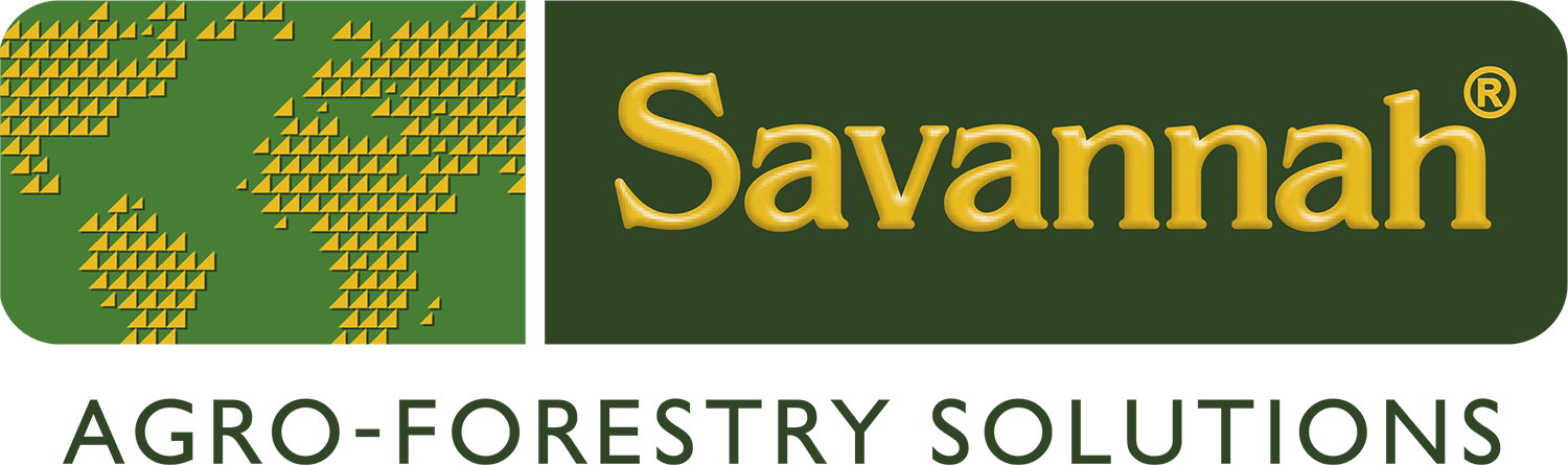 Savannah Global Solutions
